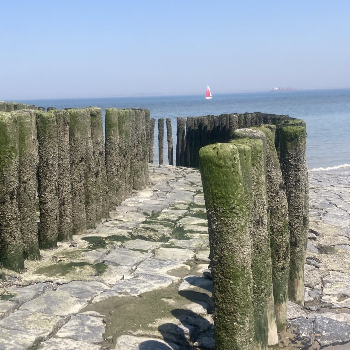 Sea