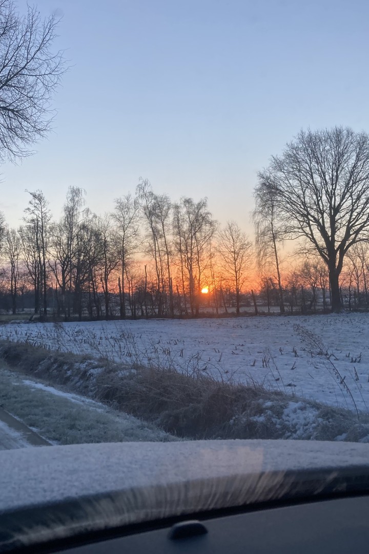 onderweg naar de werf